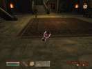 The Elder Scrolls 4: Oblivion